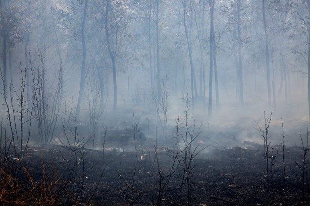Foto - Yunanistan’ın Türkiye sınırında orman yangını! Köyler boşaltıldı