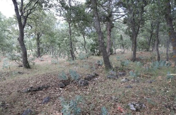 Yunanlıların katlettiği 83 Türk'ün mezarı bulundu