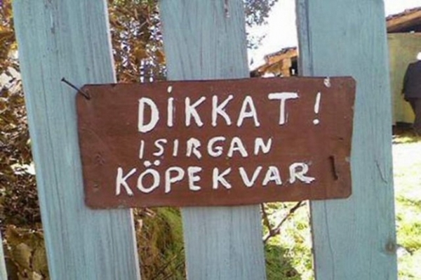 Foto - Yurdum insanı güldürüyor