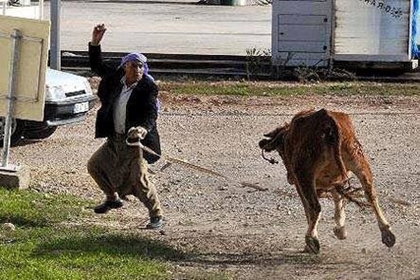 Foto - Yurdum insanı güldürüyor