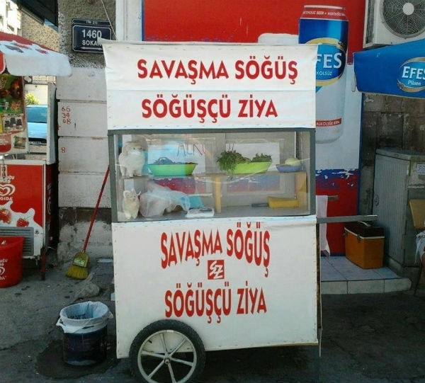 Foto - Yurdum insanı güldürüyor