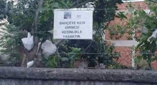 Foto - Yurdum insanı yine güldürdü