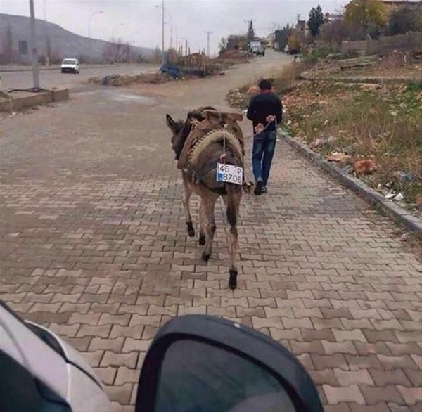 Foto - Yurdum insanından güldüren görüntüler
