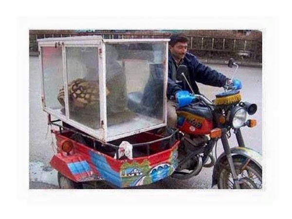 Foto - Yurdum insanından güldüren görüntüler