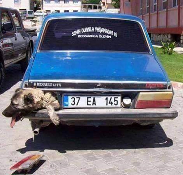 Foto - Yurdum insanından güldüren görüntüler