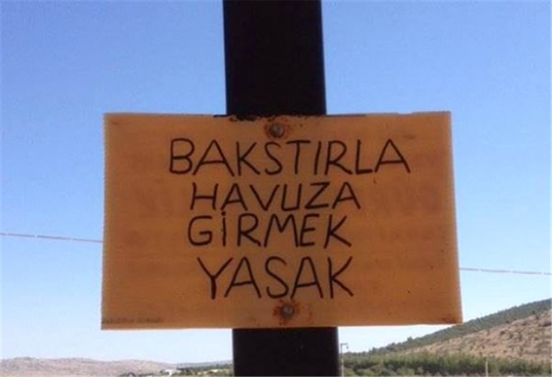 Foto - Yurdum insanından güldüren görüntüler