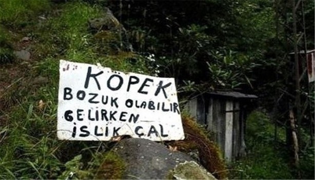 Foto - Yurdum insanından güldüren görüntüler