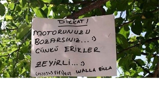 Foto - Yurdum insanından güldüren görüntüler