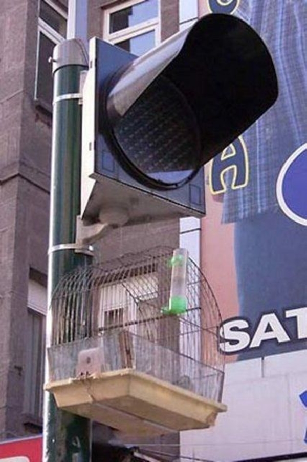 Foto - Yurdum insanından güldüren görüntüler