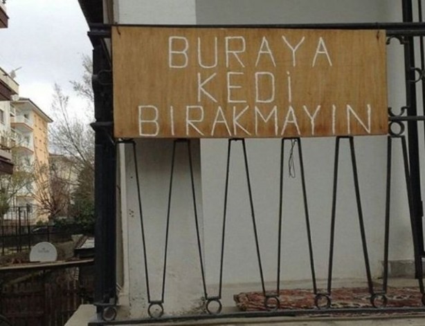 Foto - Yurdum insanından güldüren kareler