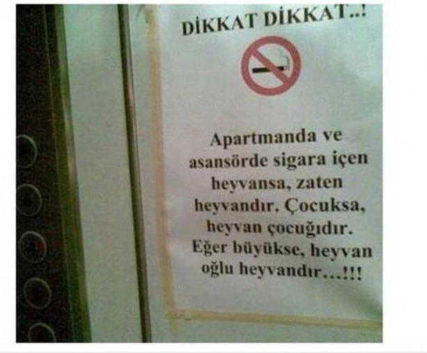 Foto - Yurdum insanından güldüren kareler