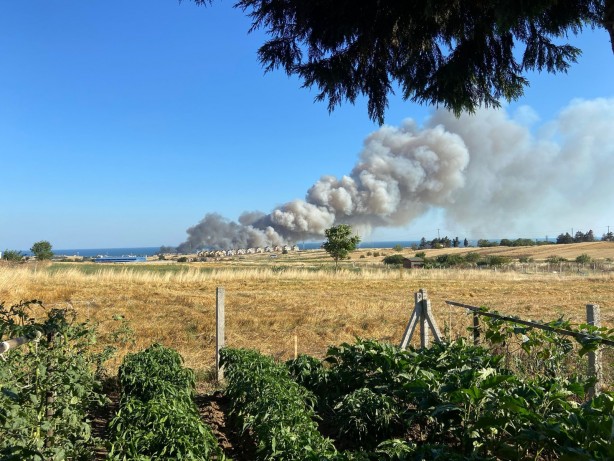 Foto - Yürekleri yakan görüntü! Silivri’de buğday tarlası alev alev yandı