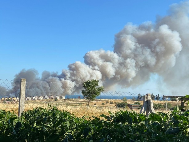 Yürekleri yakan görüntü! Silivri’de buğday tarlası alev alev yandı