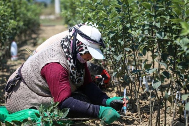 Foto - Yurt dışında kapış kapış gidiyor! Tıkır tıkır işleyen sistem kurup adeta para basıyorlar