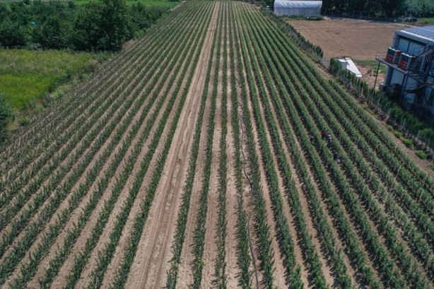 Foto - Yurt dışında kapış kapış gidiyor! Tıkır tıkır işleyen sistem kurup adeta para basıyorlar