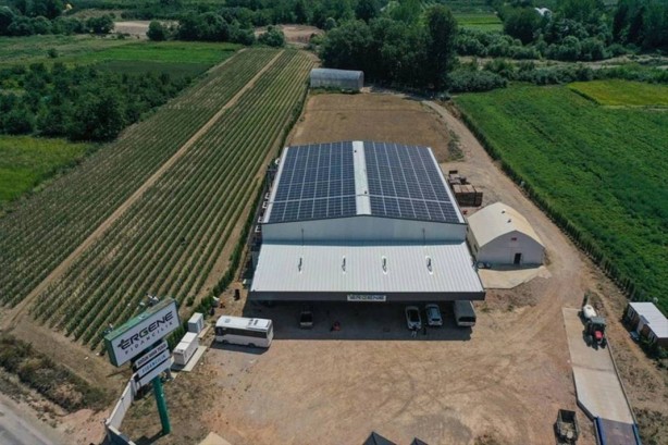 Foto - Yurt dışında kapış kapış gidiyor! Tıkır tıkır işleyen sistem kurup adeta para basıyorlar