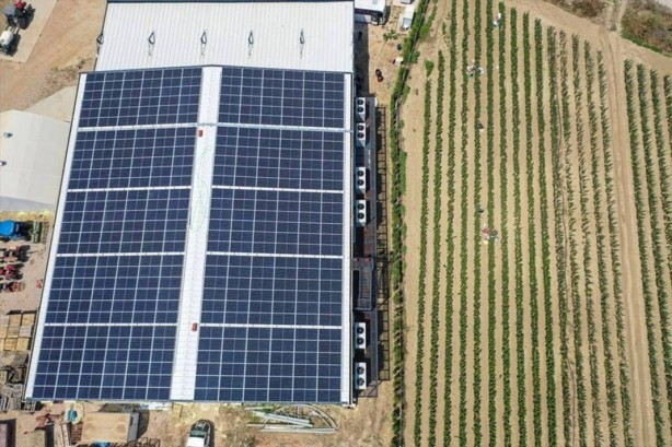 Foto - Yurt dışında kapış kapış gidiyor! Tıkır tıkır işleyen sistem kurup adeta para basıyorlar