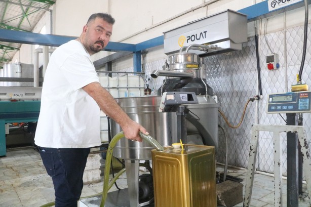 Foto - Yurt içinde ve yurt dışında kapış kapış gidiyor! İşte zeytinyağının fabrika fiyatı…