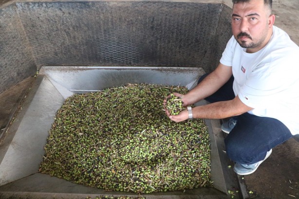 Foto - Yurt içinde ve yurt dışında kapış kapış gidiyor! İşte zeytinyağının fabrika fiyatı…