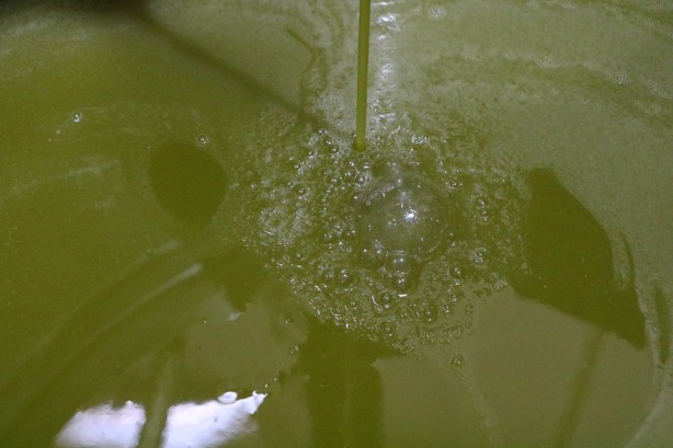 Foto - Yurt içinde ve yurt dışında kapış kapış gidiyor! İşte zeytinyağının fabrika fiyatı…