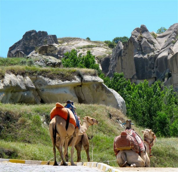 Foto - Yurtdışında Türklere sorulan ilginç sorular