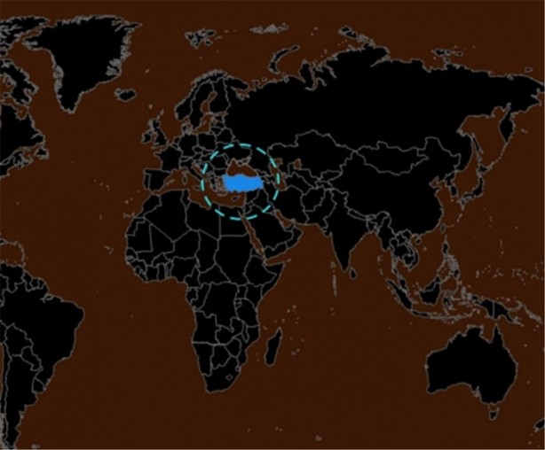 Yurtdışında Türklere sorulan ilginç sorular