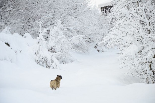 Foto - Yurtta kış böyle yaşanıyor