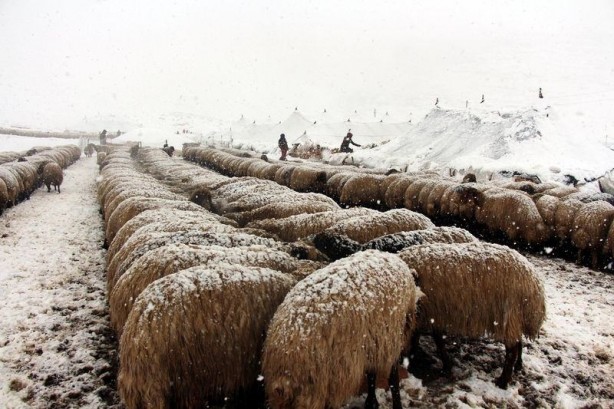 Foto - Yurtta kış böyle yaşanıyor