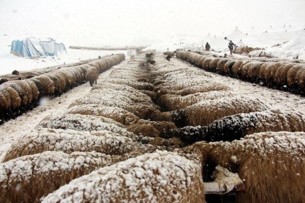Foto - Yurtta kış böyle yaşanıyor