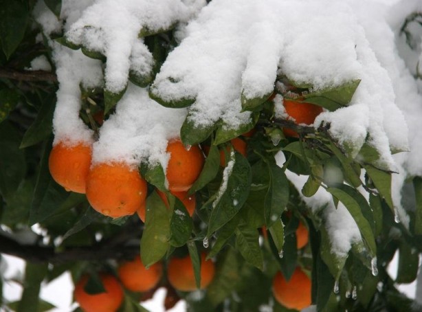 Foto - Yurtta kış böyle yaşanıyor
