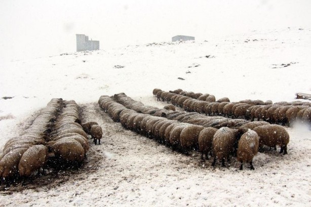 Foto - Yurtta kış böyle yaşanıyor