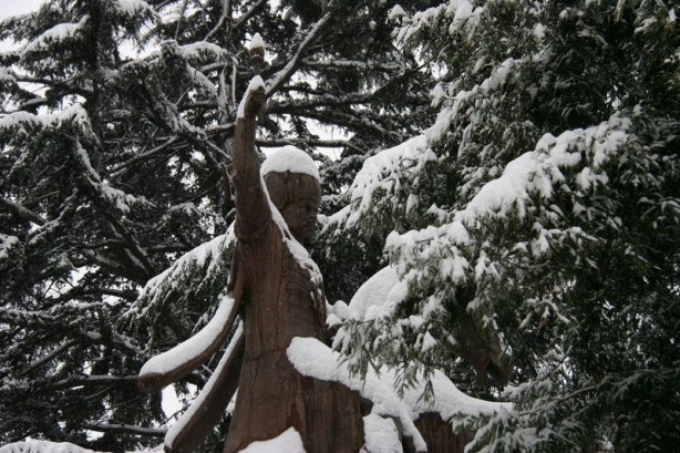 Foto - Yurtta kış böyle yaşanıyor