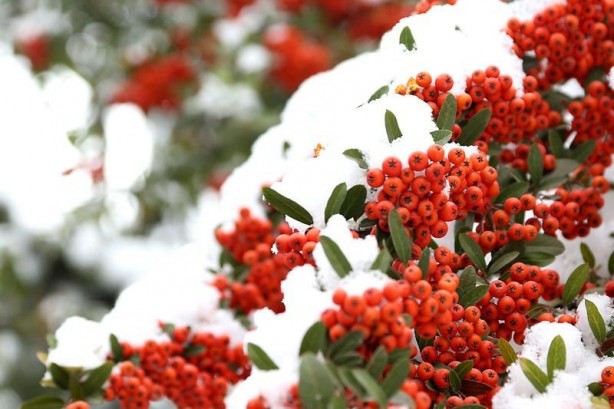 Foto - Yurtta kış böyle yaşanıyor