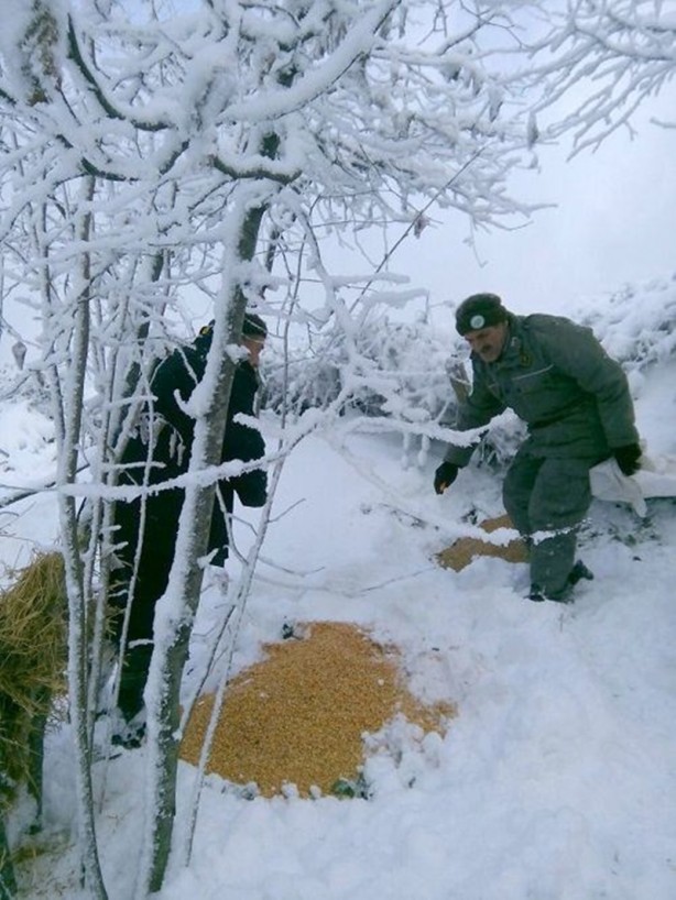Foto - Yurtta kış böyle yaşanıyor