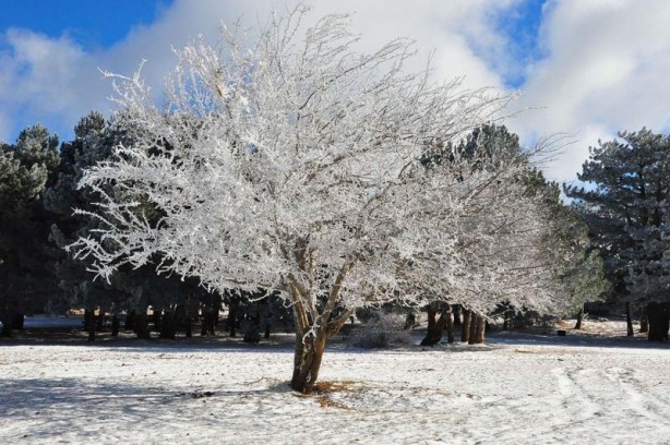 Foto - Yurtta kış böyle yaşanıyor