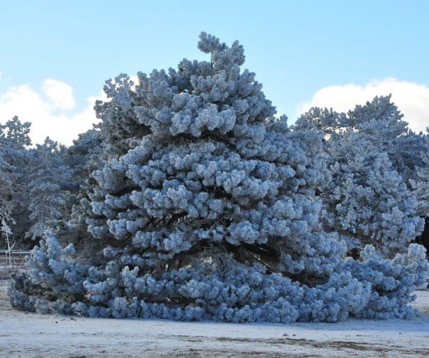 Foto - Yurtta kış böyle yaşanıyor
