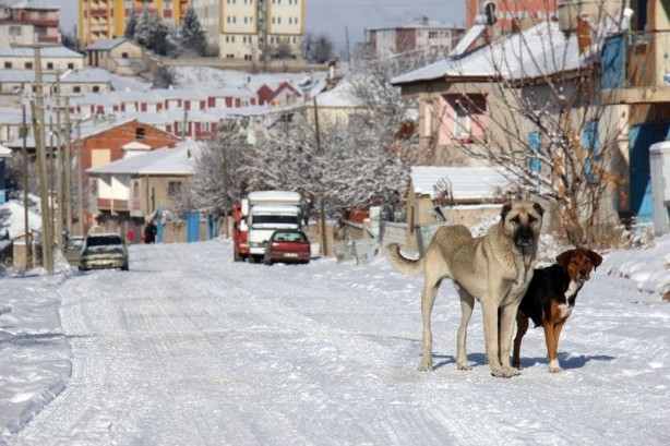Foto - Yurtta kış böyle yaşanıyor