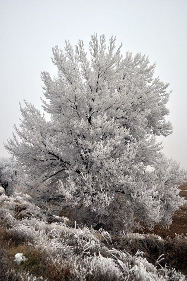 Foto - Yurttan kar manzaraları...