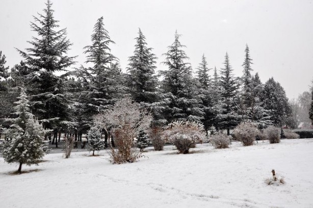 Foto - Yurttan kar manzaraları...