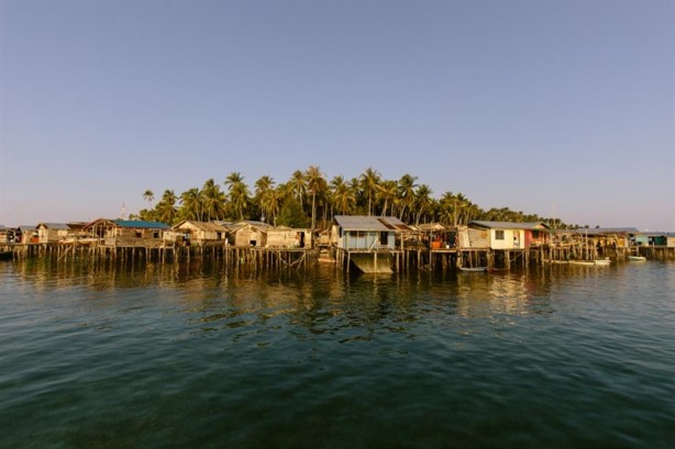 Foto - Yürümeyi değil önce yüzmeyi öğeniyorlar