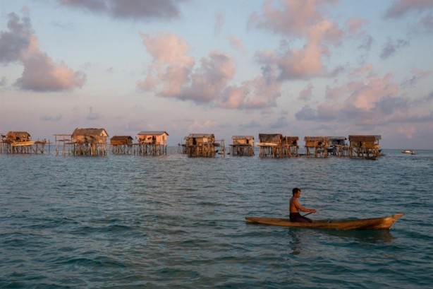 Foto - Yürümeyi değil önce yüzmeyi öğeniyorlar