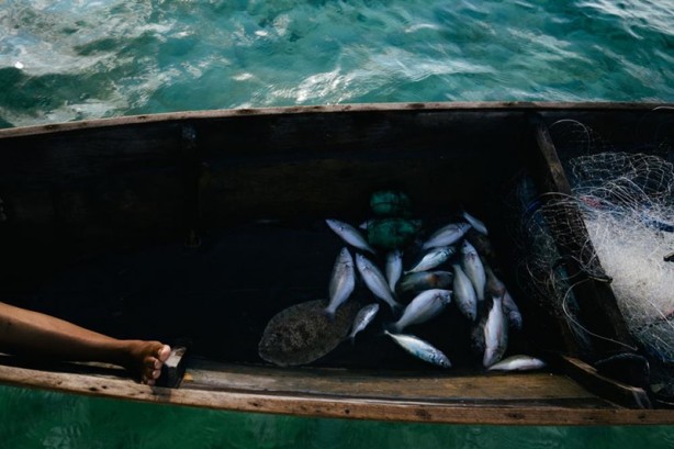 Foto - Yürümeyi değil önce yüzmeyi öğeniyorlar