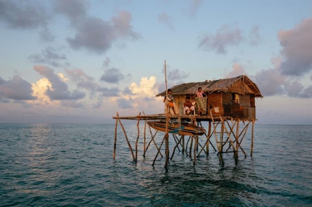 Foto - Yürümeyi değil önce yüzmeyi öğeniyorlar
