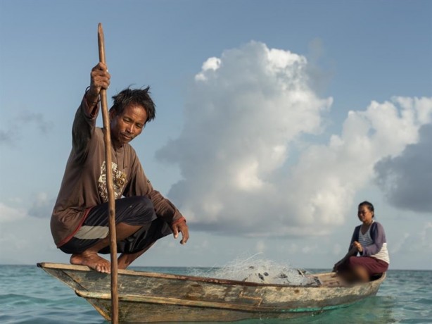 Foto - Yürümeyi değil önce yüzmeyi öğeniyorlar