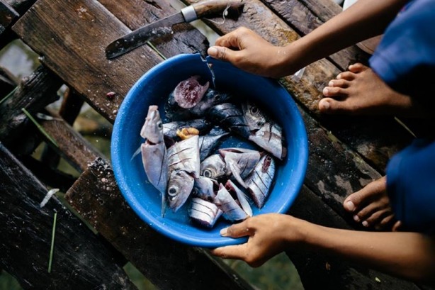 Foto - Yürümeyi değil önce yüzmeyi öğeniyorlar