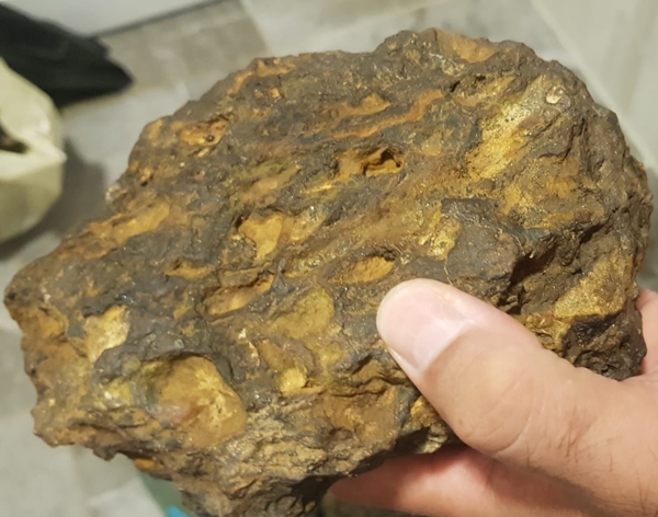 Foto - Yürüyüş yaparken buldu... Banka kasasında saklıyor