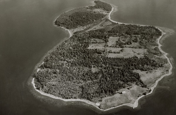 Foto - Yürüyüş yaparken buldular! Herkes bu hazinenin peşinde
