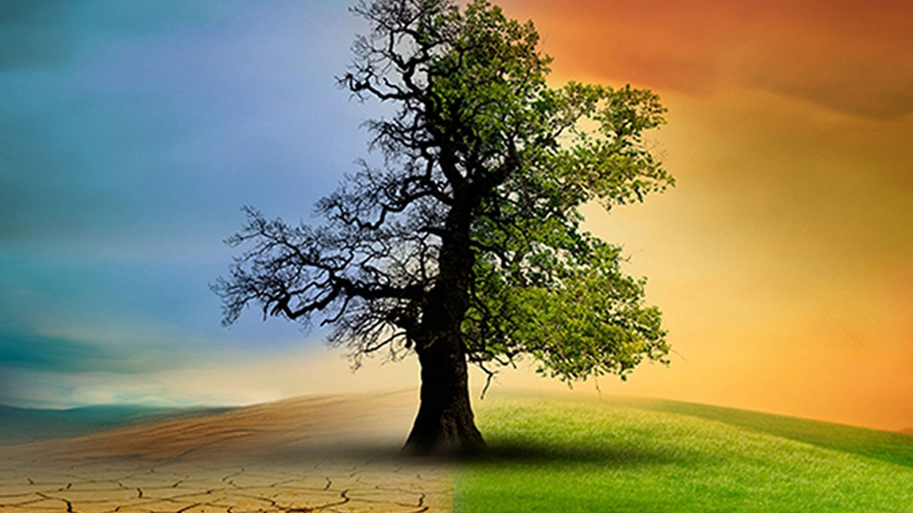 Foto - Yusuf Kaplan 'uyarıyorum' diyerek açıkladı: Türkiye'nin idam fermanı olur