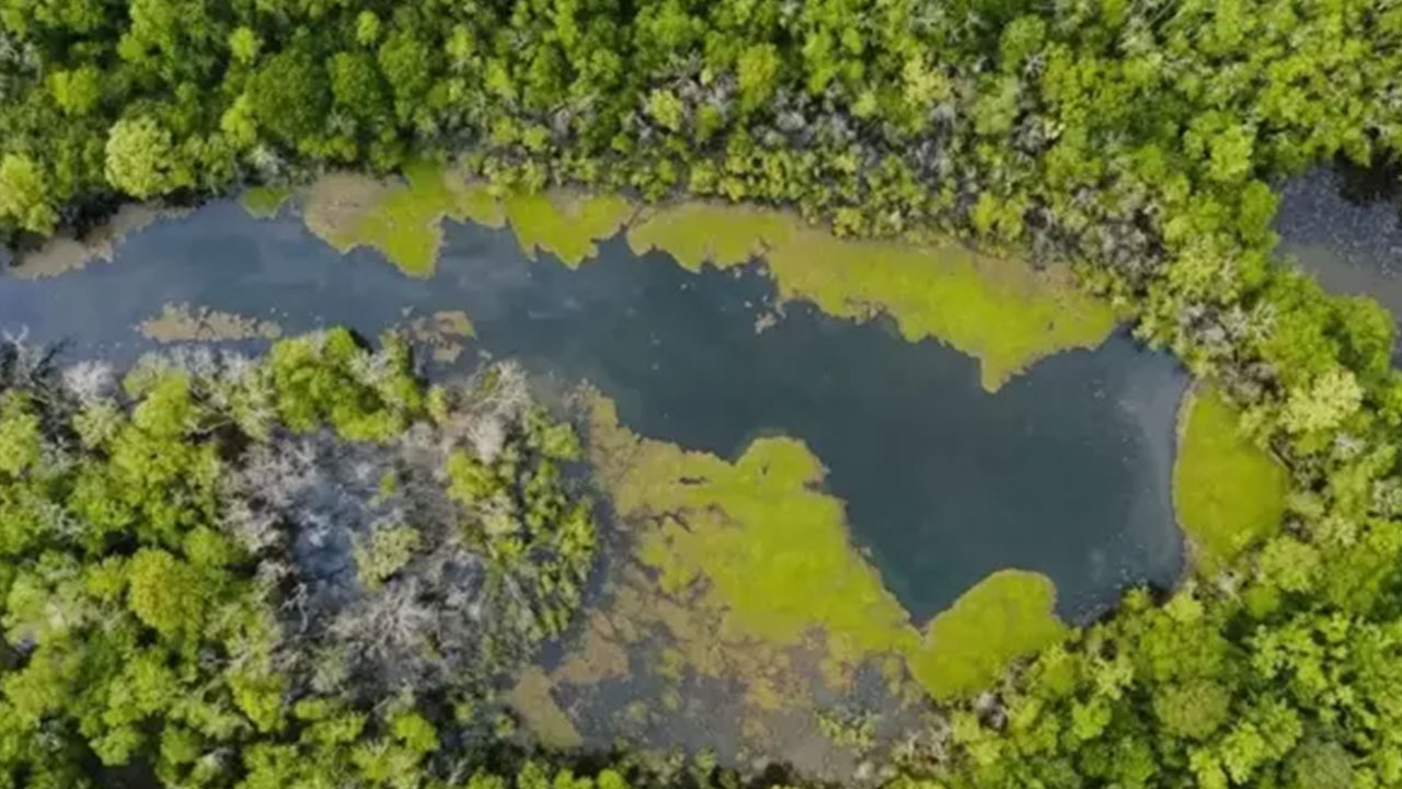 Foto - Yusuf Kaplan 'uyarıyorum' diyerek açıkladı: Türkiye'nin idam fermanı olur