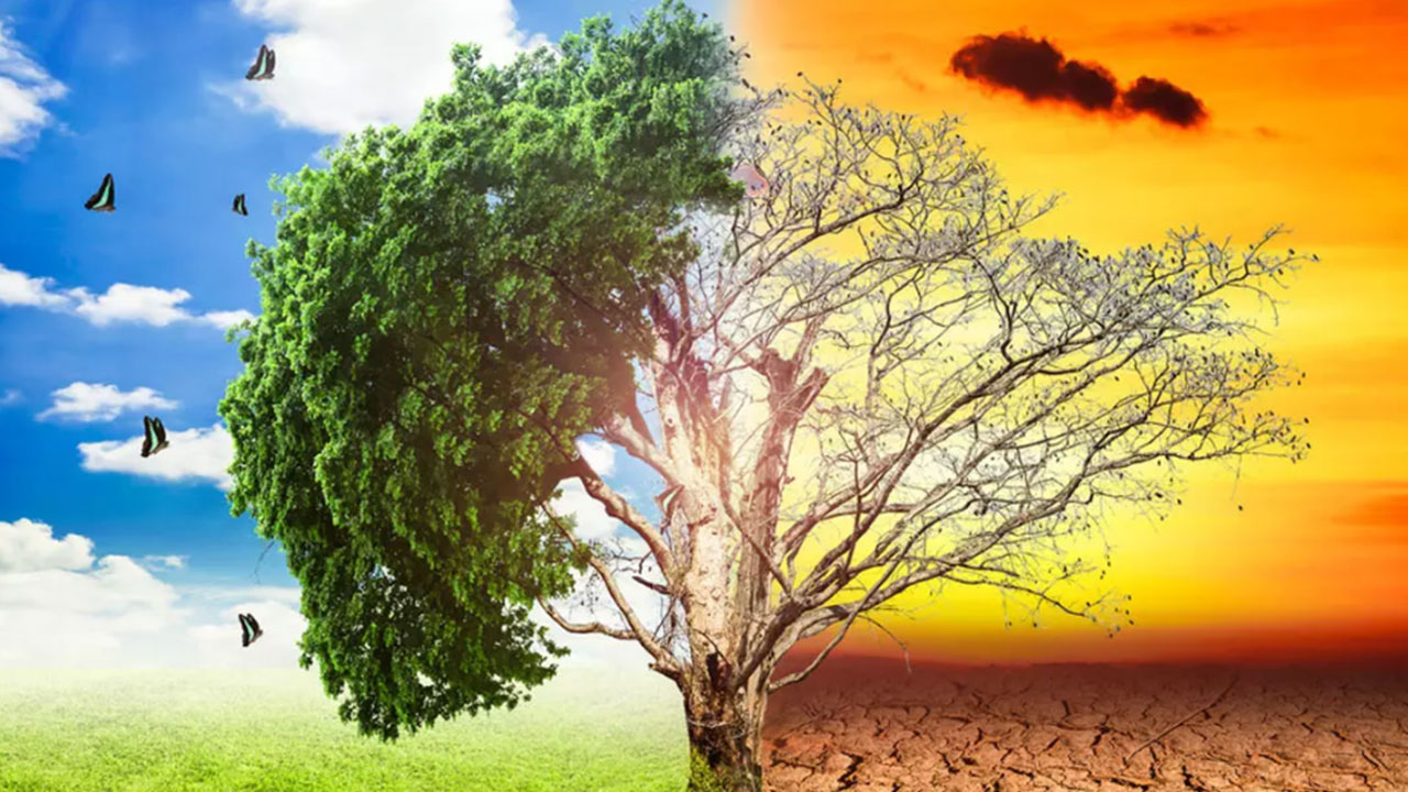 Foto - Yusuf Kaplan 'uyarıyorum' diyerek açıkladı: Türkiye'nin idam fermanı olur